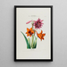 Flore d'America disegnato dal vero sul posto Pl049 - Étienne Denisse — quadro incorniciato alla parete