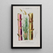 Flore d'Amérique drawn from nature on site Pl078 - Étienne Denisse — framed artwork on a wall
