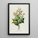 Flore d'Amérique drawn from nature on site Pl091 - Étienne Denisse — framed artwork on a wall