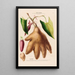 Flore d'Amérique drawn from nature on site Pl116 - Étienne Denisse — framed artwork on a wall