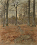 Croce in un sottobosco - Étienne Moreau-Nélaton — vista dell’opera