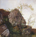 Studio di rose di cane e felci - Adolph Tidemand — vista dell’opera