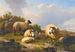 Sheep in an Scottish landscape - Eugène Joseph Verboeckhoven — artwork view