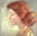 Evalina Cortland Palmer - Alice Pike Barney — vista dell’opera