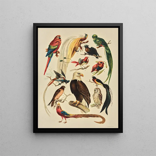 F E Wright - Birds.webp