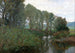 Salici sull'Emper - Felix Eisengraber — vista dell’opera
