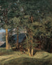 Ahornbäume bei Ischl - Ferdinand Georg Waldmüller — Ansicht des Kunstwerks