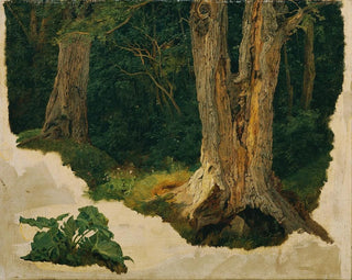 Ferdinand Georg Waldmller - Baumstudie.webp