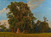 Grande Paesaggio del Prater - Ferdinand Georg Waldmüller — vista dell’opera