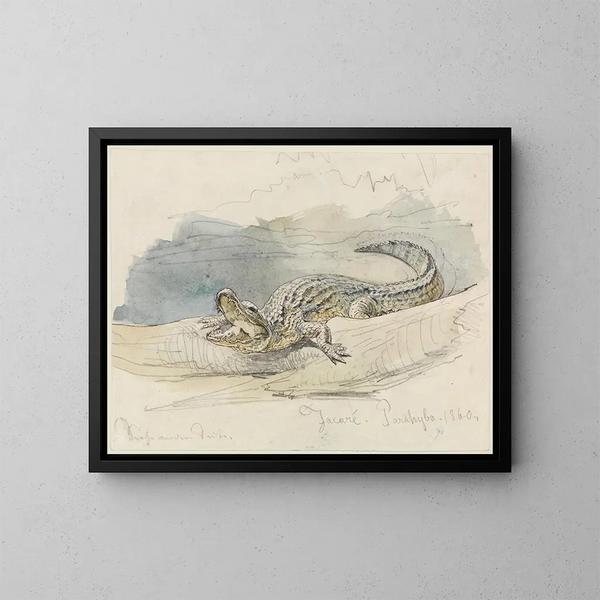 Studie eines Alligators - Ferdinand Keller — gerahmtes Bild an der Wand
