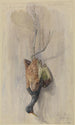 Studie eines Vogels mit toten Kielen - Ferdinand Keller — Ansicht des Kunstwerks