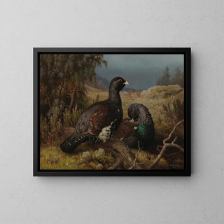 Ferdinand von Wright - Capercaillie Cocks.webp