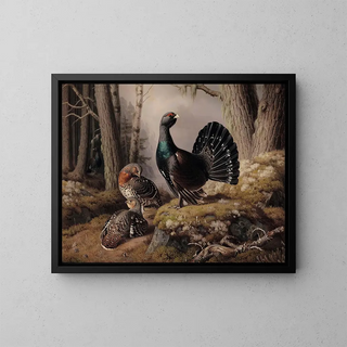 Ferdinand von Wright - Capercaillies Courting.webp