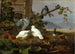 Pigeons - Ferdinand von Wright — artwork view