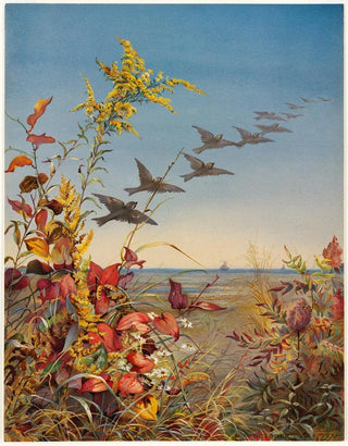 Fidelia Bridges - October.webp
