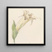 Flower Painting - Sientje Mesdag Van Houten — framed artwork on a wall
