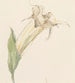Flower Painting - Sientje Mesdag Van Houten — artwork view