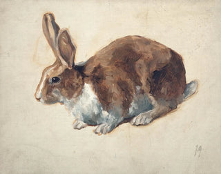Floris Verster - Rabbit.webp