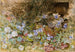 Margherite e violette - Frances Fanny Wilmot Currey — vista dell’opera