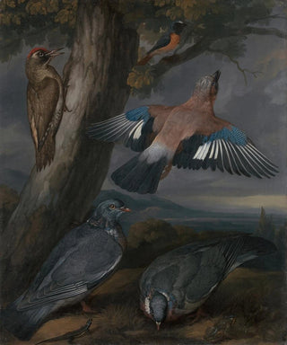 Francis Barlow - Jay Green Woodpecker Pigeons and Redstart Landscape with a Green Woodpecker a Jay Two Pigeons a Redstart a Lizard and Two Frogs.webp