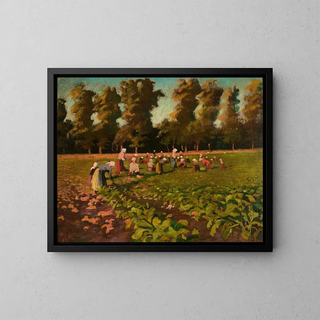 Franciszek ubieski - Harvesting beetroots.webp