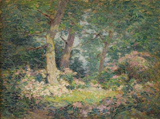 Frank Alfred Bicknell - Mountain Laurel.webp