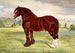 Stallion Shire Harold - Frank Babbage — artwork view