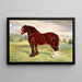 Stallion Shire Harold - Frank Babbage — framed artwork on a wall
