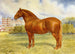 Suffolk Sire Prince Wedgewood - Frank Babbage — artwork view