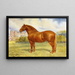 Suffolk Sire Prince Wedgewood - Frank Babbage — framed artwork on a wall