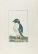 Der Eisvogel mit Reiher - François Levaillant — Ansicht des Kunstwerks