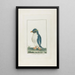 Der Eisvogel mit Reiher - François Levaillant — gerahmtes Bild an der Wand
