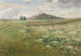 Felder mit wilden Mohnblumen - František Kaván — Ansicht des Kunstwerks