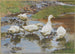 Enten am Wasserufer - Franz Grösse — Ansicht des Kunstwerks