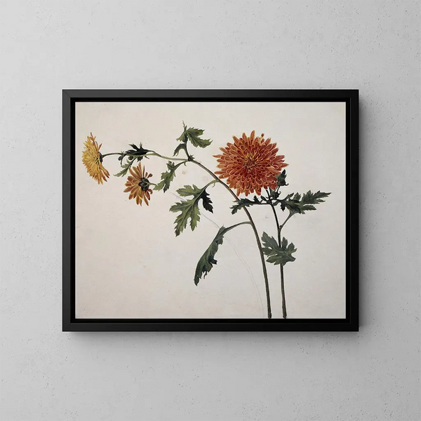 Chrysanthèmes - Franz Theobald Horny — gerahmtes Bild an der Wand