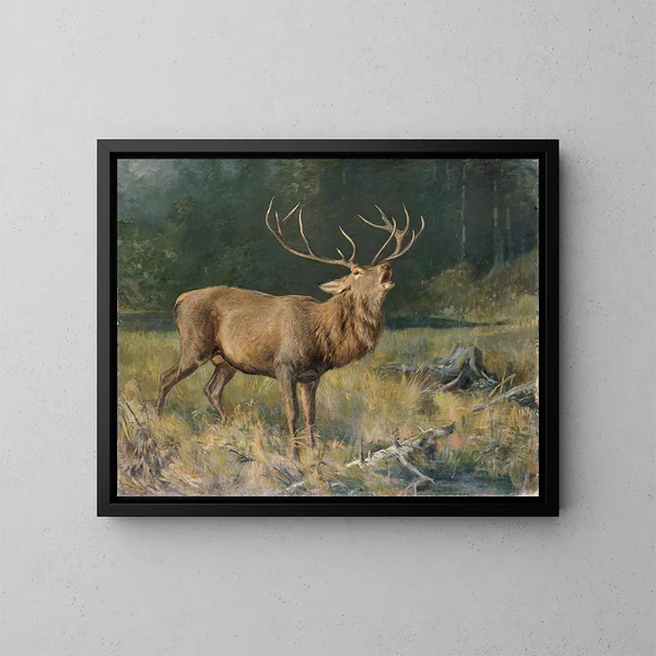 Hirsch braun - Franz Xaver von Pausinger — gerahmtes Bild an der Wand