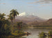 Palmiers Tamaca - Frederic Edwin Church — vista dell’opera