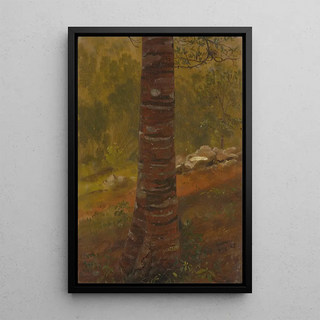 Frederic Edwin Church - Tree trunk.webp