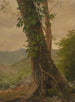 Albero con viti Giamaica Antille - Frederic Edwin Church — vista dell’opera