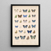 Insecta Lepidoptera Rhopalocera Pl 053 - Frederick DuCane Godman — framed artwork on a wall