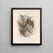 Mammalia Pl 03 - Frederick DuCane Godman — gerahmtes Bild an der Wand