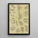 Bryozoaires VIII - Frederick McCoy — gerahmtes Bild an der Wand