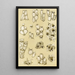 Bryozoaires XVII - Frederick McCoy — quadro incorniciato alla parete