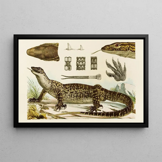 Frederick McCoy - Reptiles I.webp