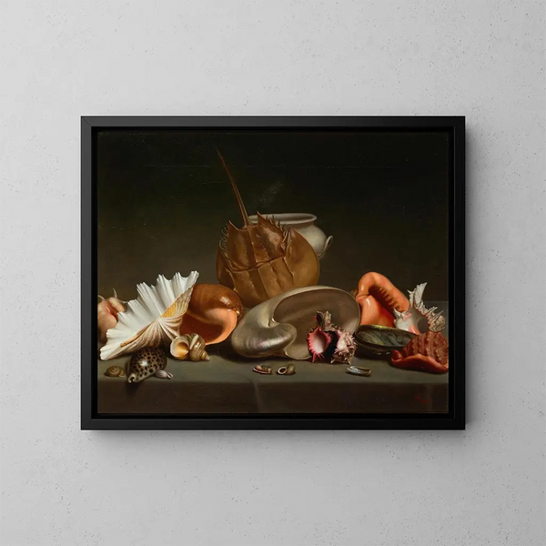 Natura morta con conchiglie e molluschi - Scuola francese — quadro incorniciato alla parete