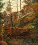 Il diga vicino a Miesenbach - Friedrich August Matthias Gauermann — vista dell’opera