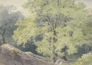 Friedrich Ernst Morgenstern - In the forest near Falkenstein.webp