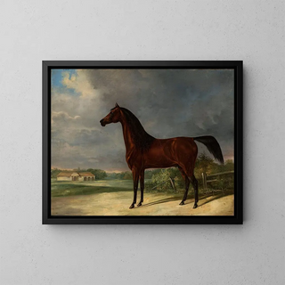 Friedrich Leopold Brde - Bay horse.webp
