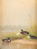 Enten am Flussufer - Fritz Lange — Ansicht des Kunstwerks