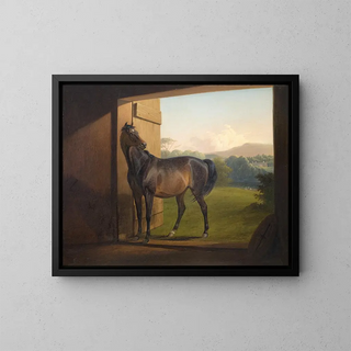 Fritz Thomsen - Reveller Mare.webp